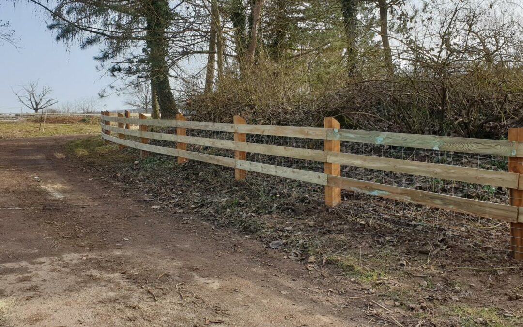 Clôture dans le Bas-Rhin : les bonnes consignes pour délimiter votre parcelle